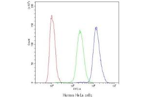 Flow cytometry testing of human HeLa cells with PDE4D antibody at 1ug/10^6 cells (blocked with goat sera)