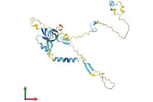AlphaFold protein structure predicition of Human Recombinant SLC7A6OS Protein, UniprotID Q96CW6