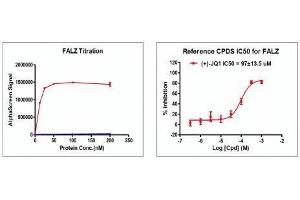 Recombinant BPTF / FALZ (2791-2911) activity using AlphaScreen. (BPTF Protein (AA 2791-2911) (His tag,DYKDDDDK Tag))