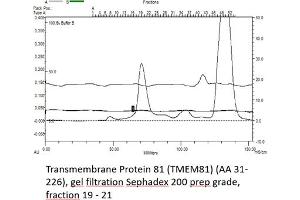 Size-exclusion chromatography-High Pressure Liquid Chromatography (SEC-HPLC) image for Transmembrane Protein 81 (TMEM81) (AA 31-226) protein (His tag) (ABIN3074693) (TMEM81 Protein (AA 31-226) (His tag))