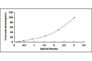 Typical standard curve (C1QB Kit ELISA)