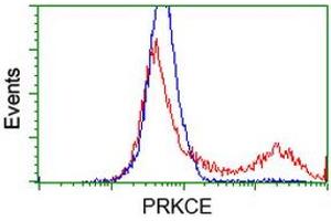HEK293T cells transfected with either RC217702 overexpress plasmid (Red) or empty vector control plasmid (Blue) were immunostained by anti-PRKCE antibody (ABIN2454194), and then analyzed by flow cytometry. (PKC epsilon anticorps)