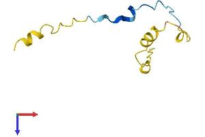 AlphaFold protein structure predicition of Mouse Recombinant Cdc42se1 Protein, UniprotID Q8BHL7