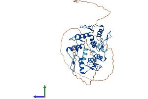 AlphaFold protein structure predicition of Human Recombinant ZNF121 Protein, UniprotID P58317