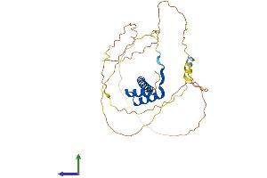 AlphaFold protein structure predicition of Human Recombinant HOXC11 Protein, UniprotID O43248