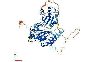 AlphaFold protein structure predicition of Human Recombinant UBE2Q1 Protein, UniprotID Q7Z7E8