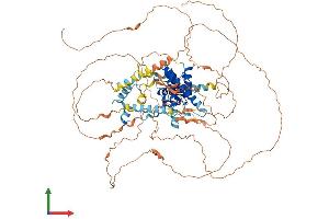 AlphaFold protein structure predicition of Human Recombinant YY1AP1 Protein, UniprotID Q9H869