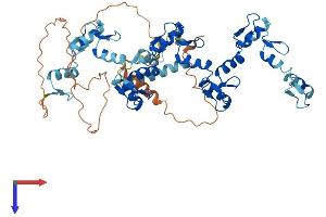 AlphaFold protein structure predicition of Human Recombinant ZNF565 Protein, UniprotID Q8N9K5