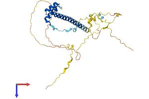 AlphaFold protein structure predicition of Mouse Recombinant Tlx3 Protein, UniprotID O55144