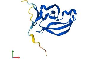 AlphaFold protein structure predicition of Human Recombinant YPEL3 Protein, UniprotID P61236