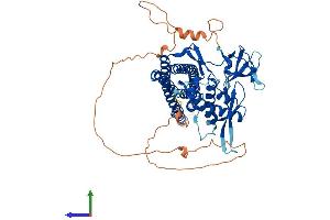 AlphaFold protein structure predicition of Human Recombinant SNX9 Protein, UniprotID Q9Y5X1