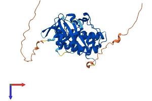 AlphaFold protein structure predicition of Human Recombinant PIM3 Protein, UniprotID Q86V86