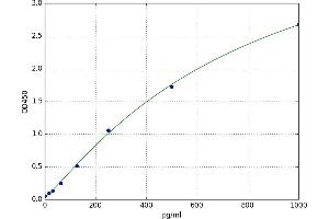 Chemokine (C-C Motif) Ligand 14 (CCL14) ELISA Kit
