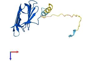 AlphaFold protein structure predicition of Human Recombinant PTGES3 Protein, UniprotID Q15185