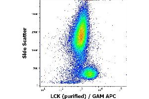 Flow cytometry intracellular staining pattern of human peripheral whole blood using anti-LCK (LCK-01) purified antibody (concentration in sample 9 μg/mL, GAM APC). (LCK anticorps  (AA 22-36))
