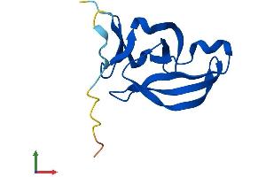 AlphaFold protein structure predicition of Human Recombinant YPEL2 Protein, UniprotID Q96QA6