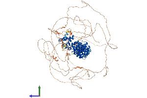 AlphaFold protein structure predicition of Human Recombinant PUM2 Protein, UniprotID Q8TB72