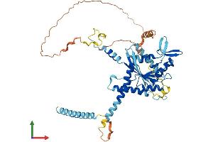AlphaFold protein structure predicition of Mouse Recombinant Septin4 Protein, UniprotID P28661