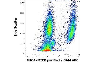 Flow cytometry surface staining pattern of human peripheral whole blood spiked with HeLa cells stained using anti-human MICA/MICB (6D4) purified antibody (concentration in sample 0. (MICA/B anticorps)