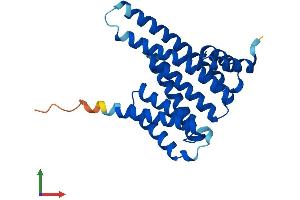 AlphaFold protein structure predicition of Mouse Recombinant Ywhab Protein, UniprotID Q9CQV8