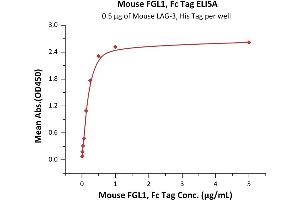Immobilized Mouse LAG-3, His Tag (ABIN2870832,ABIN2870833) at 5 μg/mL (100 μL/well) can bind Mouse FGL1, Fc Tag (ABIN6973070) with a linear range of 0.