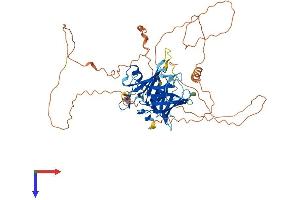 AlphaFold protein structure predicition of Mouse Recombinant Tulp1 Protein, UniprotID Q9Z273