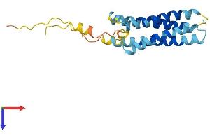 AlphaFold protein structure predicition of Mouse Recombinant Cmtm6 Protein, UniprotID Q9CZ69