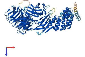 AlphaFold protein structure predicition of Mouse Recombinant Ift80 Protein, UniprotID Q8K057