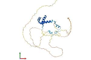 AlphaFold protein structure predicition of Mouse Recombinant En2 Protein, UniprotID P09066