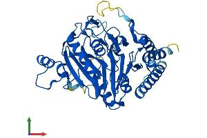 AlphaFold protein structure predicition of Mouse Recombinant Scrn3 Protein, UniprotID Q3TMH2