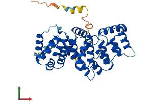 AlphaFold protein structure predicition of Human Recombinant ANXA9 Protein, UniprotID O76027