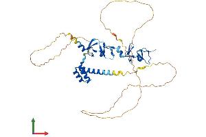 AlphaFold protein structure predicition of Human Recombinant LHX5 Protein, UniprotID Q9H2C1