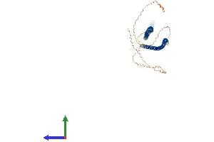 AlphaFold protein structure predicition of Human Recombinant KRT71 Protein, UniprotID Q3SY84