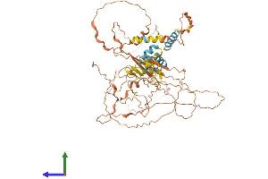 AlphaFold protein structure predicition of Mouse Recombinant Fbxo46 Protein, UniprotID Q8BG80