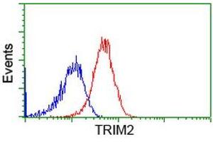 Flow cytometric Analysis of Hela cells, using anti-TRIM2 antibody (ABIN2453850), (Red), compared to a nonspecific negative control antibody, (Blue). (TRIM2 anticorps  (AA 1-100, AA 645-744))