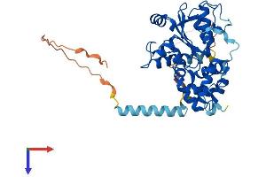 AlphaFold protein structure predicition of Mouse Recombinant Chst14 Protein, UniprotID Q80V53