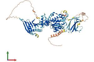 AlphaFold protein structure predicition of Human Recombinant SEC14L1 Protein, UniprotID Q92503