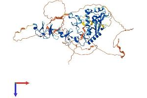 AlphaFold protein structure predicition of Human Recombinant PRICKLE3 Protein, UniprotID O43900