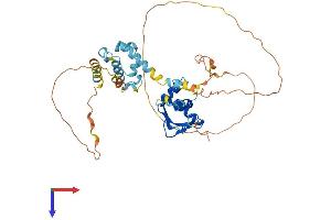 AlphaFold protein structure predicition of Mouse Recombinant Elf3 Protein, UniprotID Q3UPW2