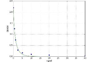 Profilin 2 (PFN2) ELISA Kit
