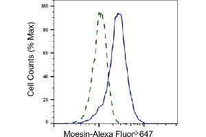 Validation of Moesin knockdown using flow cytometry. (Recombinant Moesin anticorps)