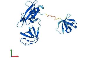 AlphaFold protein structure predicition of Mouse Recombinant Grap Protein, UniprotID Q9CX99