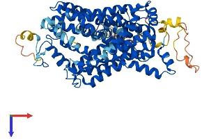 AlphaFold protein structure predicition of Mouse Recombinant Slc6a6 Protein, UniprotID O35316