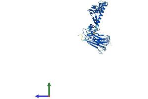 AlphaFold protein structure predicition of Mouse Recombinant Traf4 Protein, UniprotID Q61382