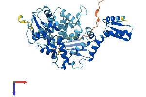 AlphaFold protein structure predicition of Mouse Recombinant Gtf2h4 Protein, UniprotID O70422