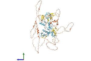 AlphaFold protein structure predicition of Mouse Recombinant Prdm4 Protein, UniprotID Q80V63