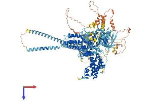 AlphaFold protein structure predicition of Mouse Recombinant Rasgrf2 Protein, UniprotID P70392