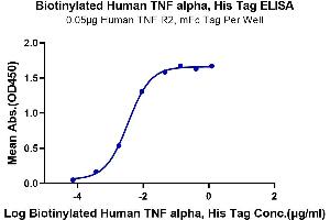 Immobilized Human TNF R2, mFc Tag at 0.