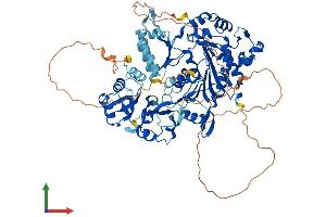AlphaFold protein structure predicition of Human Recombinant NSUN2 Protein, UniprotID Q08J23