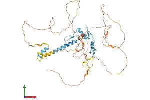 AlphaFold protein structure predicition of Mouse Recombinant Egr4 Protein, UniprotID Q9WUF2